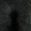 Тюбинговый тоннель: фото №245483
