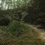 Карстовые пещеры в Ичалковском госзаказнике: фото №716383
