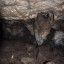Катникова пещера: фото №663497