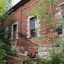 Скотный двор в Кузьминках: фото №609541