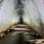 Туннель в посёлке Мурмаши: фото №608857