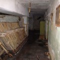 Убежище на территории промзоны Орехово-Зуево