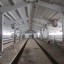 Молочно-товарная ферма в поселке Тайцы: фото №442330