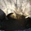 Отстойники для талой воды в Менделеево: фото №368076