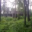 Заброшенный коттеджный поселок на Рублевке: фото №456942