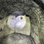 Галиевская пещера: фото №685509