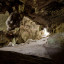 Пещеры Tham Lot и Phi Hua To: фото №599536