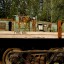 Кладбище железнодорожных вагонов в Асбесте: фото №587237