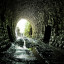 Недостроенный железнодорожный тоннель под Homôľkou: фото №646715