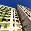 МКД девятиэтажка с зелёным простенком в городе Рудный: фото №798223