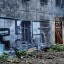 Сгоревший дом на Петроградке: фото №30699