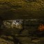 Саблинские пещеры - Жемчужная: фото №548854