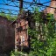 Развалины финского литейного завода: фото №207555