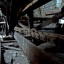 Барнаульский сереброплавильный завод: фото №190333
