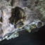 пещера Аракаевская: фото №645962