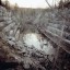 Искитимский мраморный карьер: фото №521045