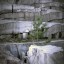 Искитимский мраморный карьер: фото №521048