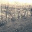 Искитимский мраморный карьер: фото №521057