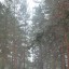 Смотровая вышка на горе Бесенкова: фото №441862