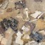 Развалины в/ч связи в Сары-Озеке: фото №152217