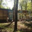 Оздоровительный лагерь «Ласточка»: фото №403064