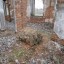 Руины школы времен ВОВ: фото №197506