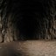 Заброшенный ж/д-тоннель: фото №193081