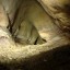 Корповская пещера: фото №396219