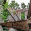 Руины усадьбы Шубина: фото №199017
