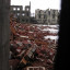 Руины завода «Ленспиртстрой»: фото №723323