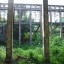 Разрушенный павильон «Шестигранник»: фото №374680