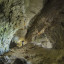Гипсовый рудник в Сюкеево: фото №716714
