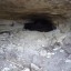 Пещеры «Шкуродерки»: фото №333388