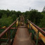 Заброшенный вантовый мост: фото №688477