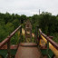 Заброшенный вантовый мост: фото №688482
