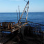 Океанографическая платформа МГИ НАН Украины: фото №591464