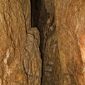 Пещера Волглая
