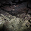 Дугинские катакомбы: фото №761468