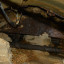 Южный портал недостроенного канализационного тоннеля: фото №769158