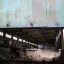 Заброшенный цех деревообрабатывающего завода: фото №236021