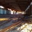 Заброшенный цех деревообрабатывающего завода: фото №254585