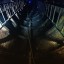 Технологический тоннель West Coast Main Line: фото №238553