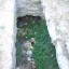 Храм Богородицы Влахернской и раннехристианский некрополь: фото №239785