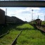 Заброшенные железнодорожные вагоны: фото №242015