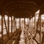 Заброшенные железнодорожные вагоны: фото №242017
