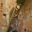 Историческая водонапорная башня: фото №382652