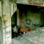 Заброшенные склады в Севастополе: фото №256621