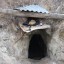 Араповский подземный монастырь: фото №488120