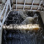 Шапсугский водосбросный шлюз: фото №787761