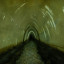 подземная река Белая: фото №773534